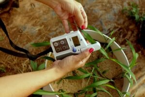 IoT-based Soil Salinity Monitoring using sensors in Watermelon cultivation (Smart Agriculture Research, 2024).